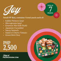 Joy - Christmas Box 2025