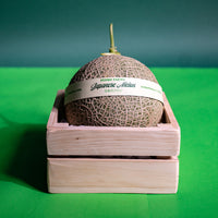 Japanese Melon