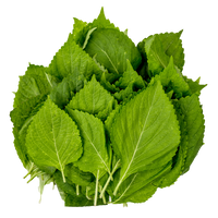 Green Shisho Leaves