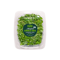 Genovese Basil (Microgreens)