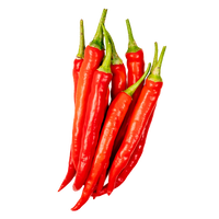 Red Finger Chili Pepper