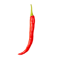 Red Finger Chili Pepper