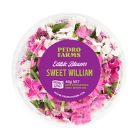 Sweet William (Edible Flowers)