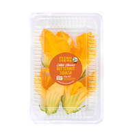 Butternut Squash (Edible Flowers)