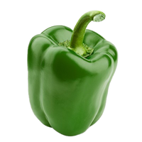 Green Bell Pepper