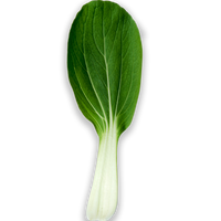 Baby Bokchoy
