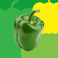 Green Bell Pepper