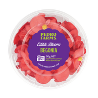 Begonia (Edible Flowers)