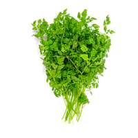 Chervil