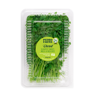 Chervil