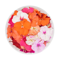 Impatiens (Edible Flowers)