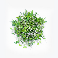 Broccoli (Microgreens)