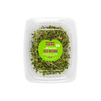Red Mizuna (Microgreens)