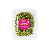 Red Mustard (Microgreens)