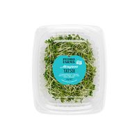 Tatsoi (Microgreens)