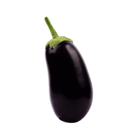 Aubergine