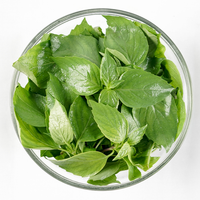 Thai Basil