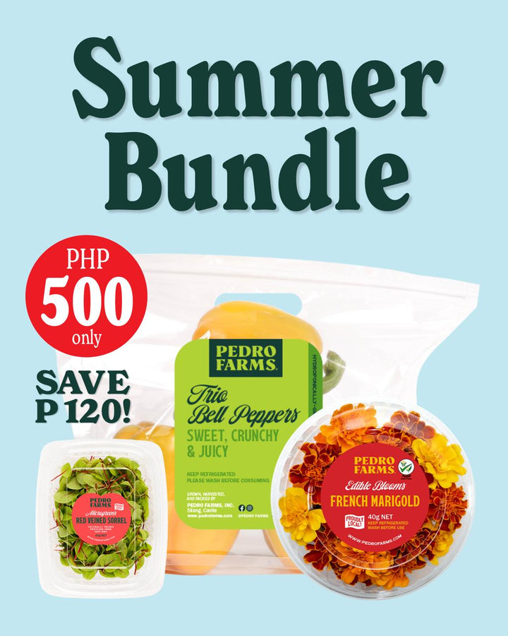 Summer Bundle