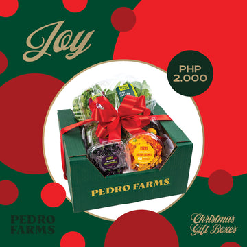 Joy - Christmas Box 2023