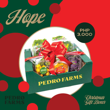 Hope - Christmas Box 2023