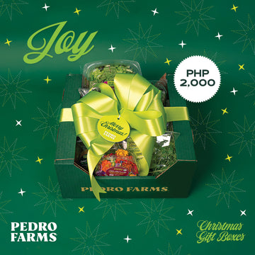 Joy - Christmas Box 2024