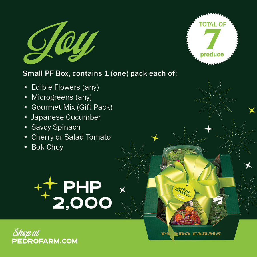 Joy - Christmas Box 2024