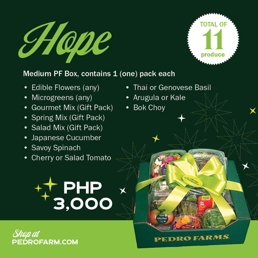 Hope - Christmas Box 2024