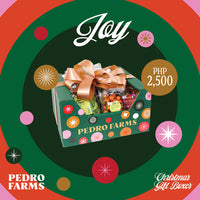 Joy - Christmas Box 2025