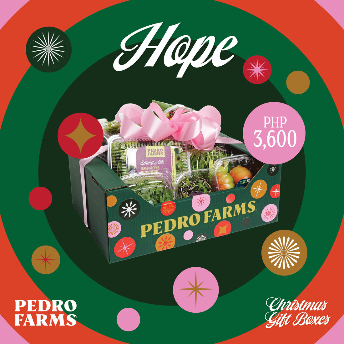 Hope - Christmas Box 2025
