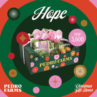 Hope - Christmas Box 2025