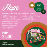 Hope - Christmas Box 2025