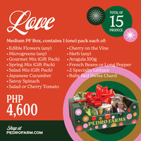 Love - Christmas Box 2025