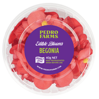 Begonia (Edible Flowers)
