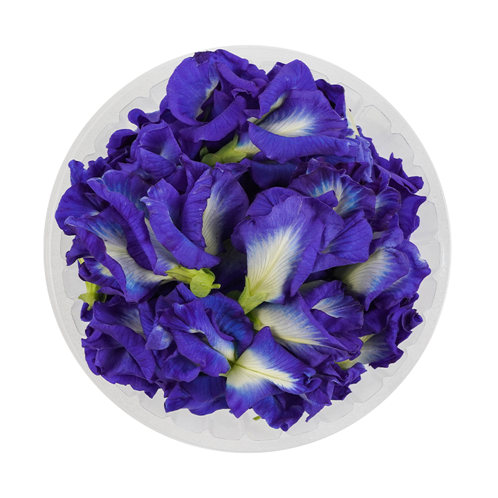Blue Ternate (Edible Flowers)