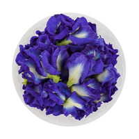 Blue Ternate (Edible Flowers)