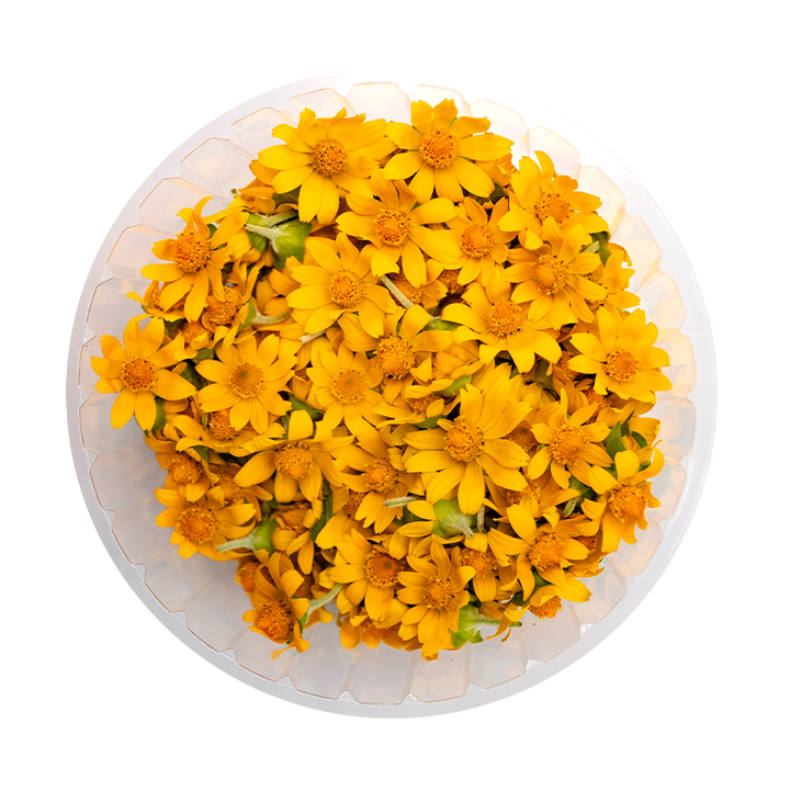 Butter Daisy (Edible Flowers)