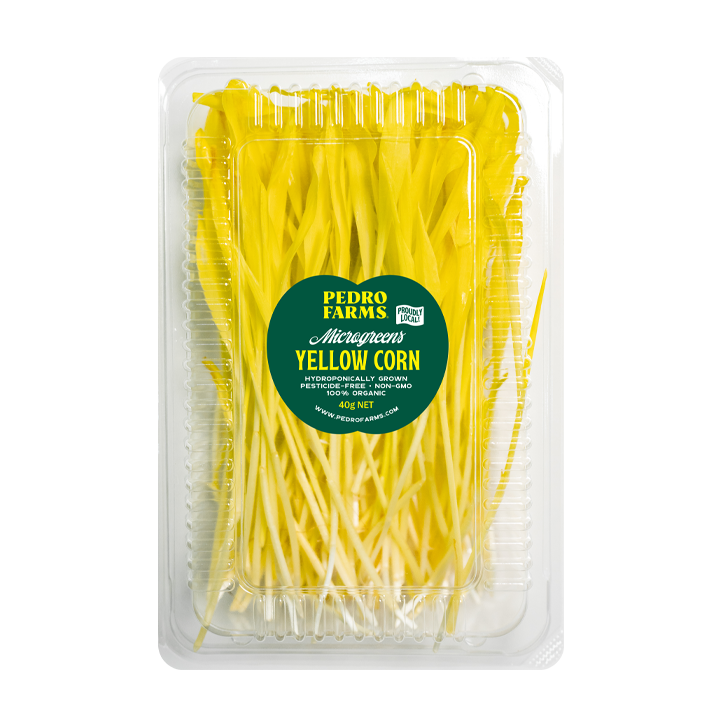 Yellow Corn (Microgreens)