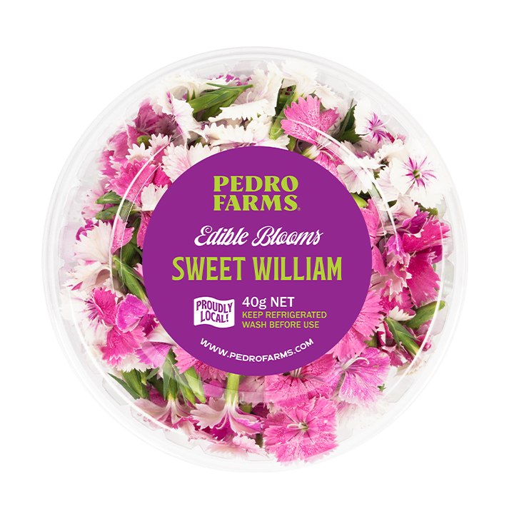 Sweet William (Edible Flowers)