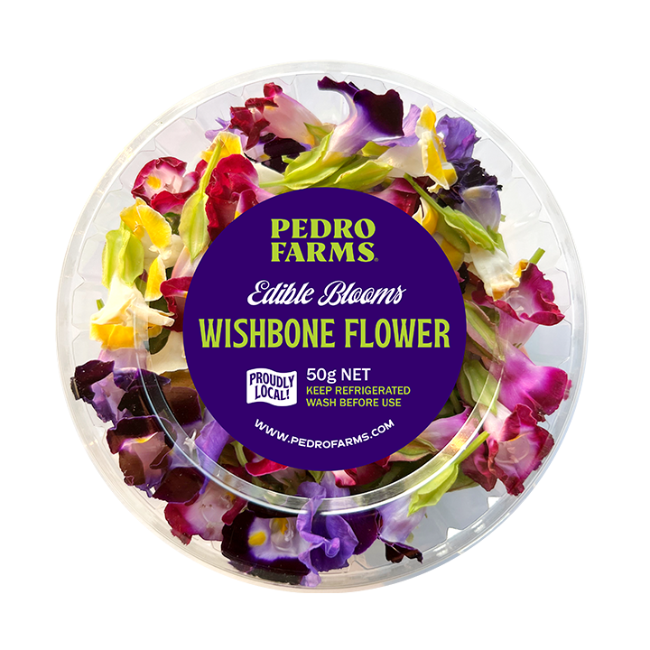 Wishbone Flower (Edible Flowers)
