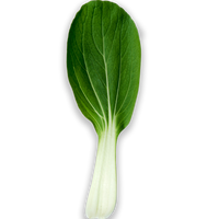 Baby Bokchoy (Pack)