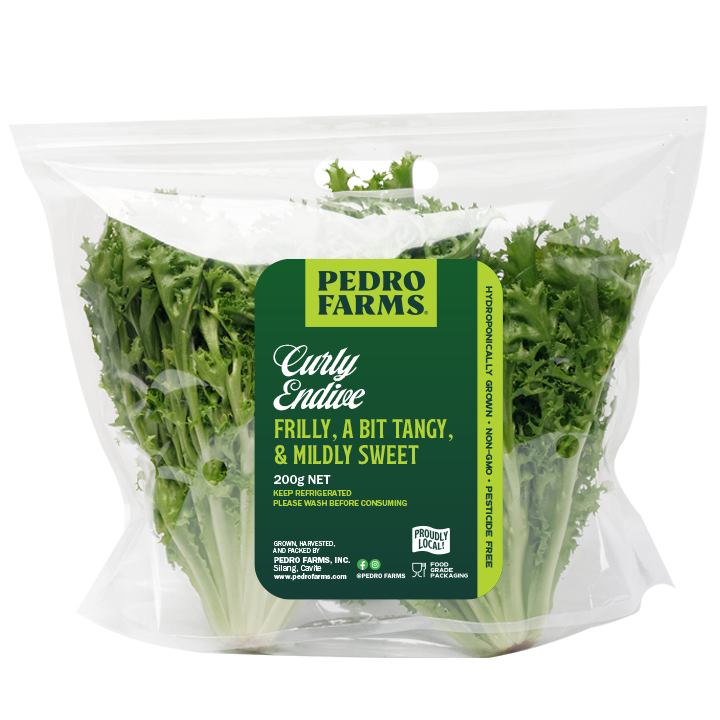 Curly Endive (Pack)