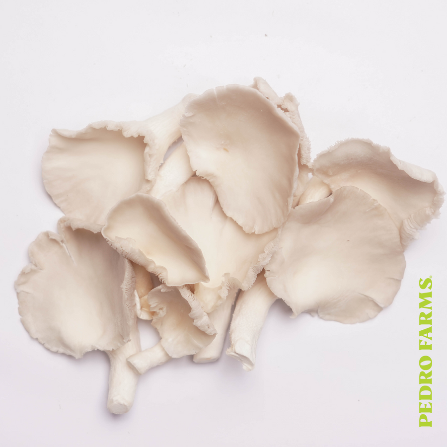 Florida White Oyster (Fresh Mushrooms)