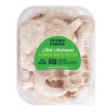 Florida White Oyster (Fresh Mushrooms)