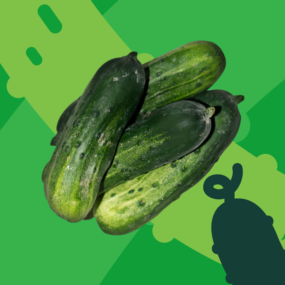 Snack Cucumber (Pack)