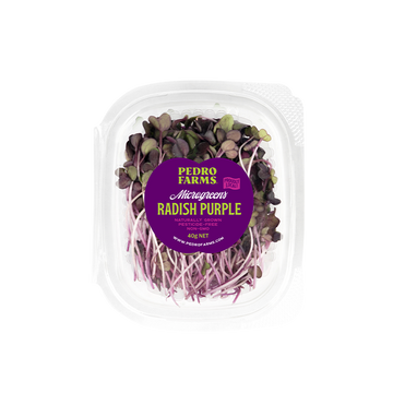 Radish Purple (Microgreens)
