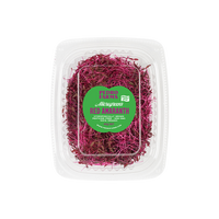 Red Amaranth (Microgreens)