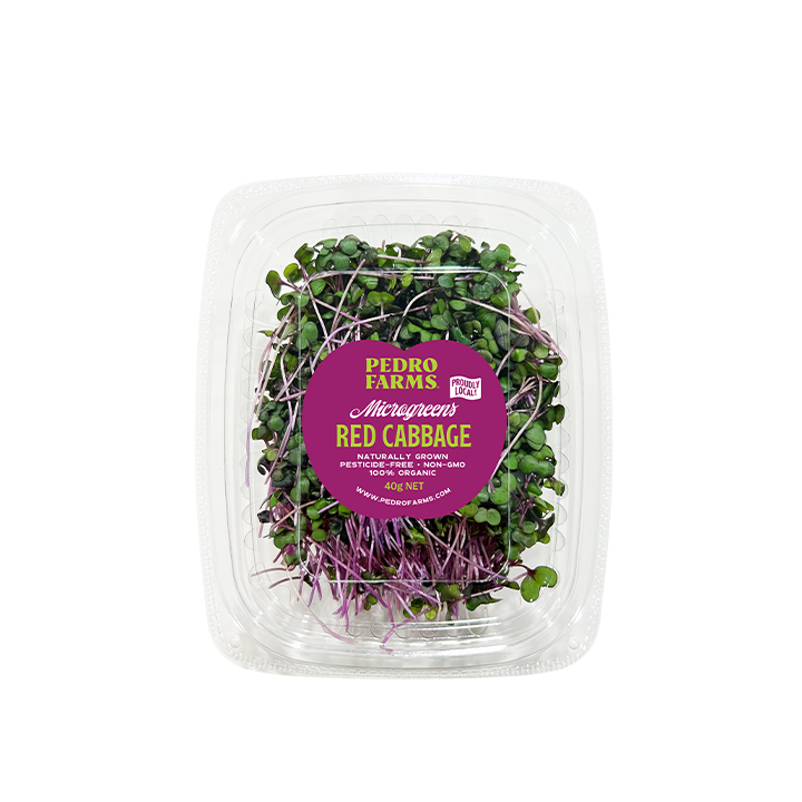 Red Cabbage (Microgreens)