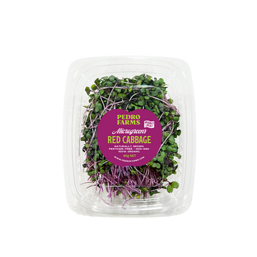 Red Cabbage (Microgreens)