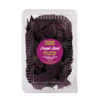 Purple Basil (Mini Pack)