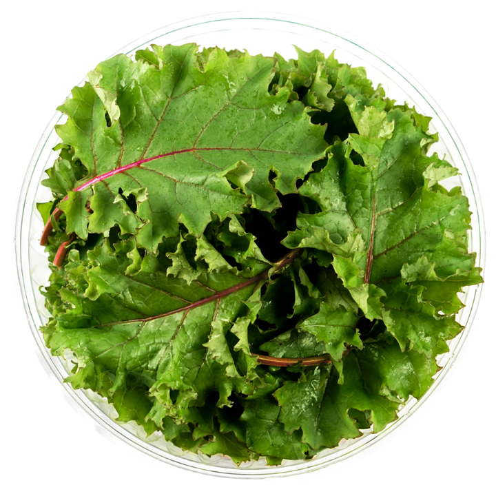 Red Veined Baby Kale (Pack)